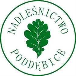 Nadleśnictwo Poddębice