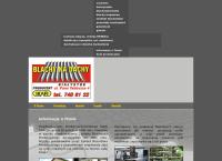 Strona internetowa z PPH IKAFI