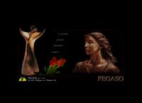 Pegaso Sp. z o.o.