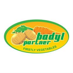 "badyl Partner" Dystrybucja Cebuli Konsumpcyjnej