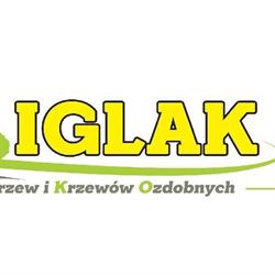 Iglak Szkółka Drzew i Krzewów Ozdobnych