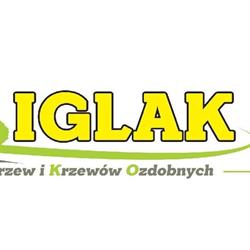 Iglak Szkółka Drzew i Krzewów Ozdobnych