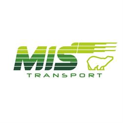 "miś" Transport i Spedycja