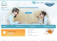 Strona internetowa z SKYware Information Technology