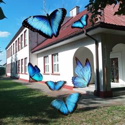 Szkoła Podstawowa W Sarbicach