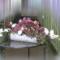 storczyk