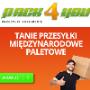 Międzynarodowe palety