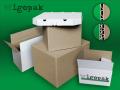 Igopak - Producent Opakowań Tekturowych