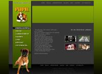 Strona internetowa z Pupil Gabinet Weterynaryjny