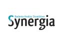 Synergia Badania Analizy Doradztwo