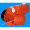 Pompa samozasysająca WZ 250 - 230V
