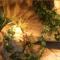 Terrarium dla agamy brodatej