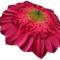 parasolka Różowa Gerbera