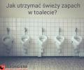 Jak zadbać o świeże powietrze w toalecie