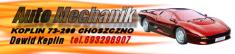 Auto Mechanika Dawid Keplin
