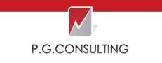 PG Consulting