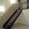 schody wenge
