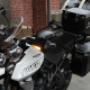 Triumph Tiger