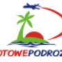 firmowe logo