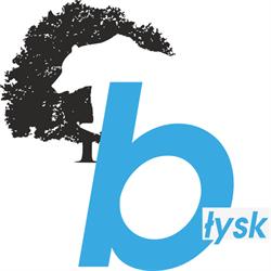 Poligrafia Błysk