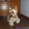 Moli