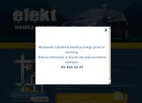Strona internetowa z Efekt Nauka Jazdy