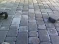 # układanie kostki brukowej łomża