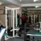 PITBULL GYM