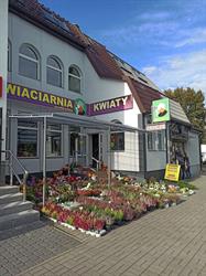 Kwiaciarnia Stokrotka