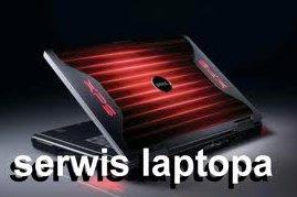 www
