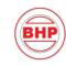 BHP Service & Consulting