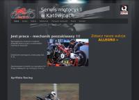 Strona internetowa z AP-Moto
