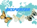 Eksperter P.p.h.u.