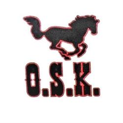 Mustang Ośrodek Szkolenia Kierowców Jerzy Mielcarek
