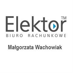 Elektor Małgorzata Wachowiak