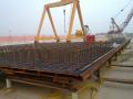 Suwnice bramowe od 5 do 50 T