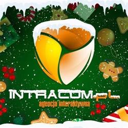 Agencja Interaktywna Intracom.pl S.c.