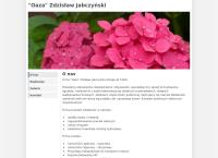 Strona internetowa z Oaza Zdzisław Jabczyński