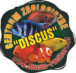 DISCUS
