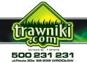 Trawa W Rolkach PL