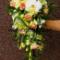www.decolife.pl