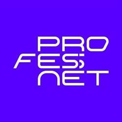 Professnet Usługi Informatyczne