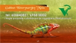 Gabinet Weterynaryjny "misiu"