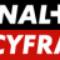 Cyfra