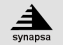 Synapsa Pracownia Badań i Usług Psychologicznych