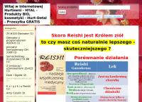 Strona internetowa z Firma Arel