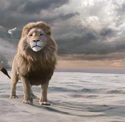 Księgania-Antykwariat Narnia