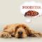 FoodSter.pl