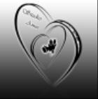 Amor Studio Wideo-Foto Robert Madetko Tel.604622399