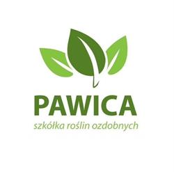 Szkółka Pawica
